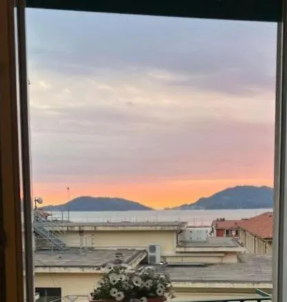 Salutiebaci *